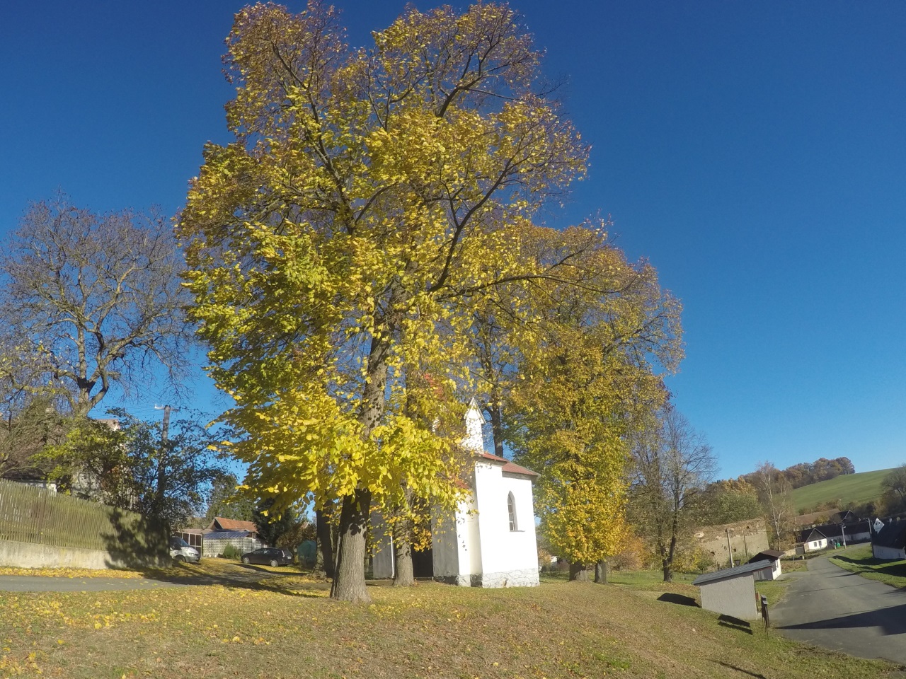 Domů Obecní úřad