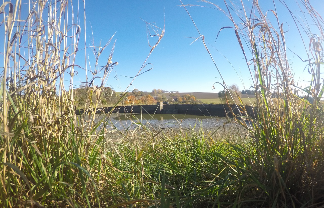 Domů Obecní úřad